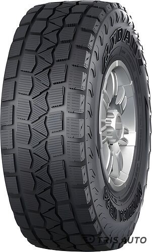 Rydanz Nordica NR21